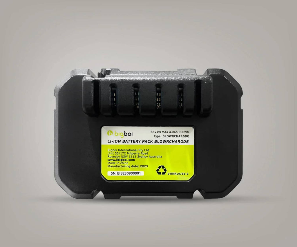 BOI-CHARGDBATTERY_01.jpg
