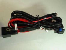 Load image into Gallery viewer, BRT-10051_02.jpg