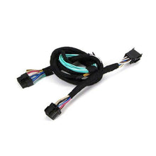 Load image into Gallery viewer, BYP-THCHN1_01.jpg