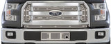 SS SCREEN F150 15-17 XLT