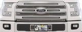 SS SCREEN F150 15-17