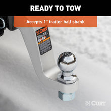 Load image into Gallery viewer, CUR-45362_06.jpg