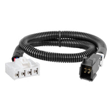 Load image into Gallery viewer, CUR-51332_01.jpg