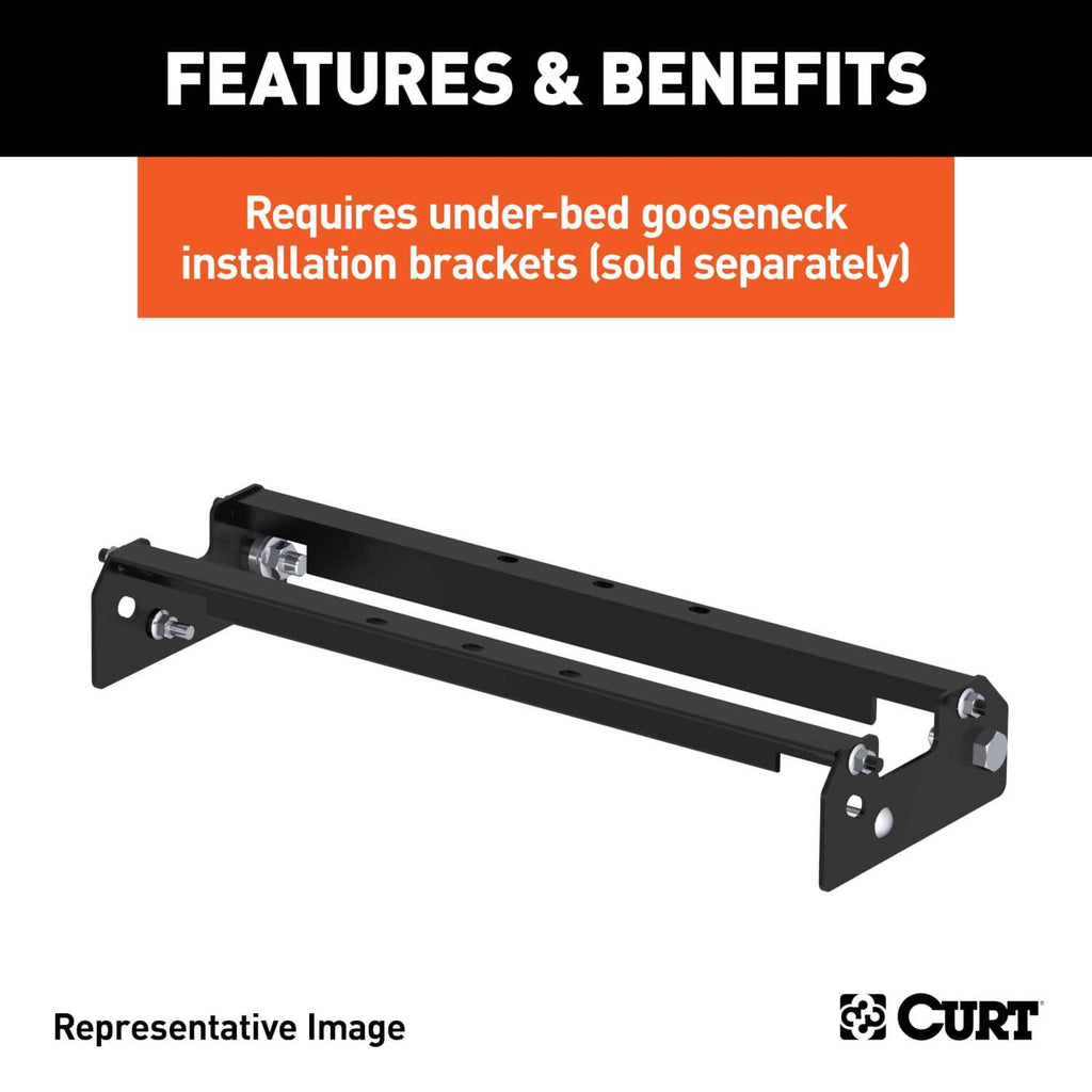 CUR-61052_03.jpg