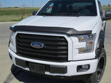 BUG DEFLECTOR 15-20 F150