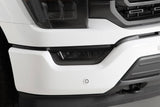 CARBON FIBER FOG LIGHT COVERS 21-25 F150