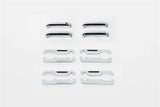 DOOR HANDLE INSERT 15-20 F150/17-22 S/DUTY CREW