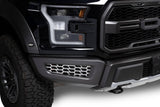 HEX SHIELD GRILL 17-20 RAPTOR