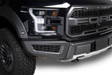 HEX SHIELD GRILL 17-20 RAPTOR