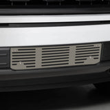 BAR STYLE BUMPER INSERT  21-24 F150