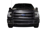 PUNCH STYLE BUMPER INSERT 15-17 F150
