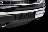 BUMPER INSERT 09-14 F150