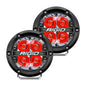 RIG-36112_01.jpg