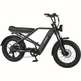 RTR-5666_01.jpg