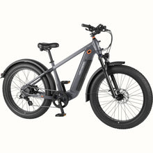 Load image into Gallery viewer, RTR-6001_01.jpg