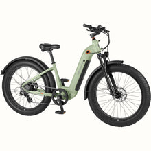 Load image into Gallery viewer, RTR-6003_01.jpg