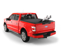 Load image into Gallery viewer, SWT-TF1136-02_03.jpg