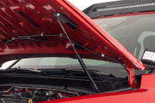 Load image into Gallery viewer, Hood Struts | Hydraulic | Toyota Tacoma 2WD/4WD (2024)