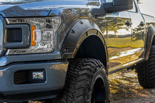 Load image into Gallery viewer, Fender Flares | Defender | Z1 Oxford White | Ford F-150 2WD/4WD (2015-2020)