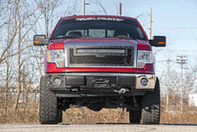 Load image into Gallery viewer, Mesh Grille | 30" Dual Row LED | Chrome | White DRL | Ford F-150 (09-14)